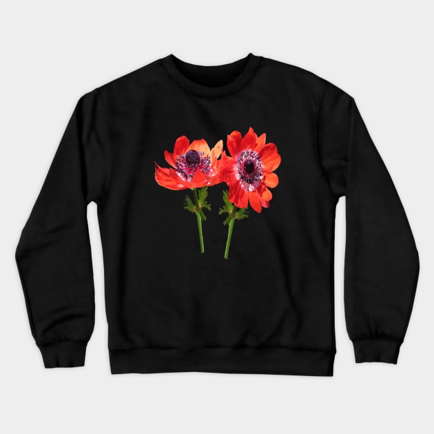 Red Anemone Wildflower Vector Art Cut Out Crewneck Sweatshirt by taiche
